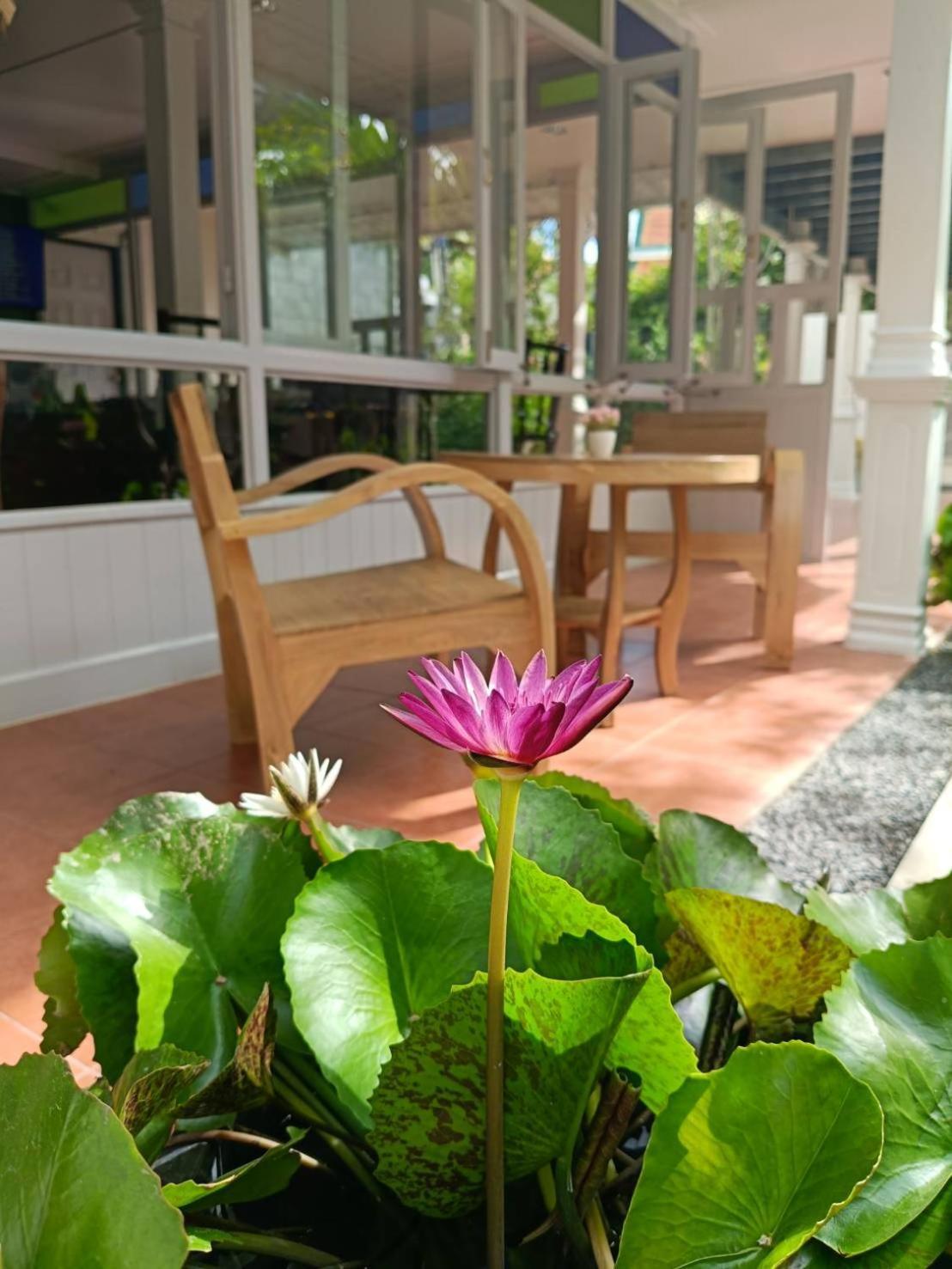 Baan Debtida Hotel Bangkok Eksteriør billede