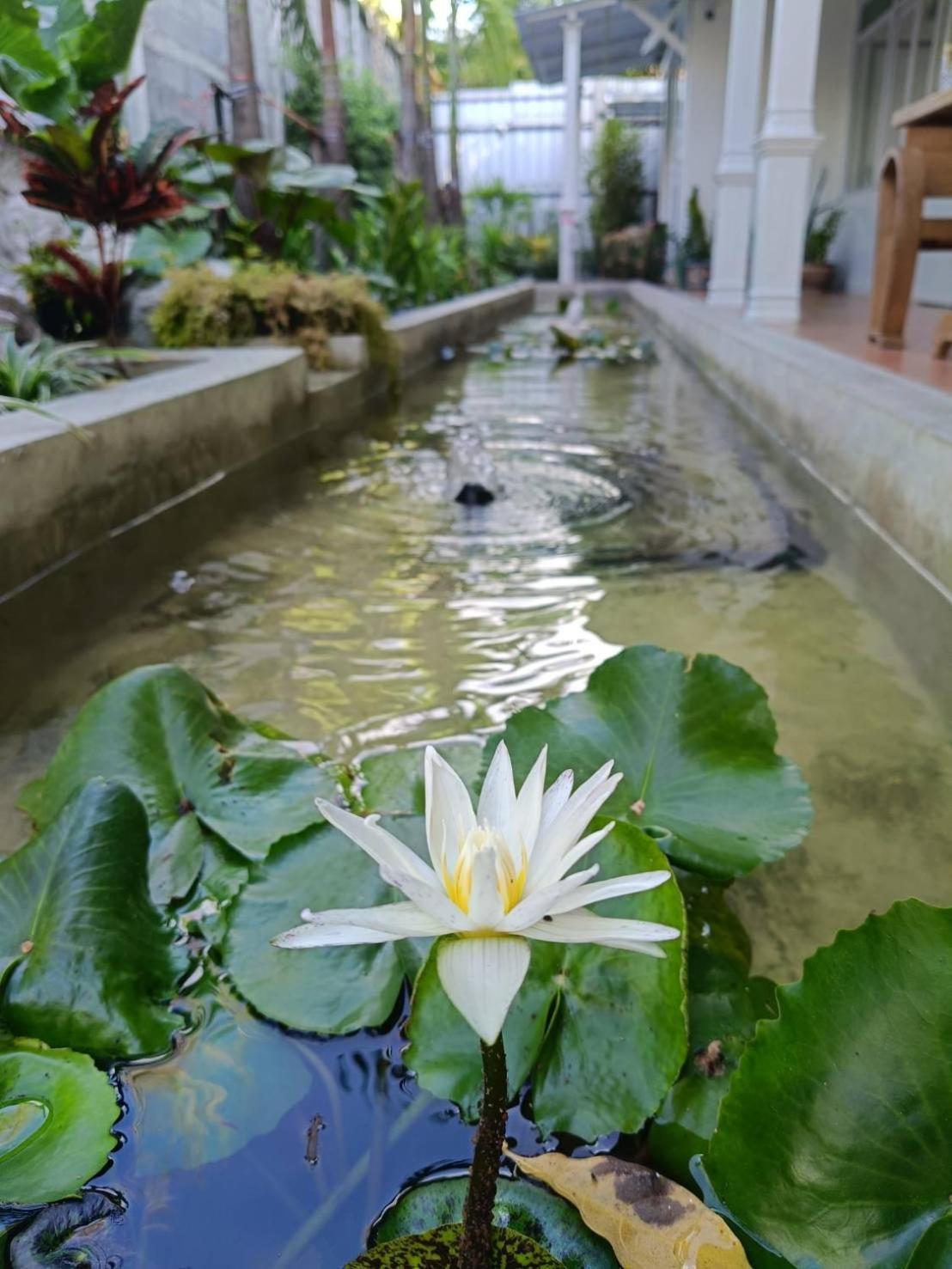 Baan Debtida Hotel Bangkok Eksteriør billede