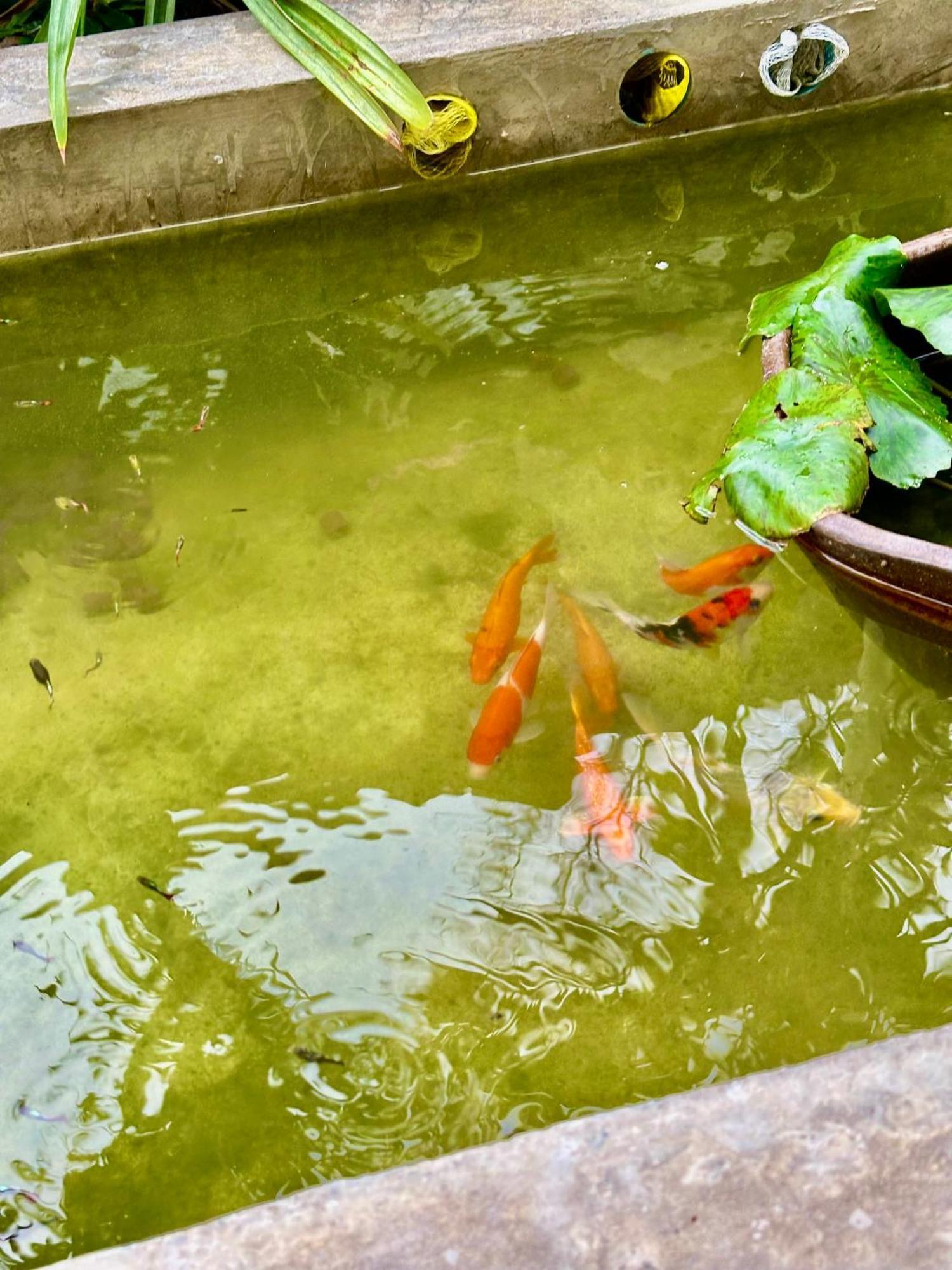 Baan Debtida Hotel Bangkok Eksteriør billede